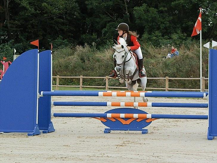 DM - Middelfart Ridecenter, Rosenkilde Gods billede 6