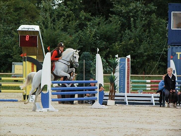 DM - Middelfart Ridecenter, Rosenkilde Gods billede 7