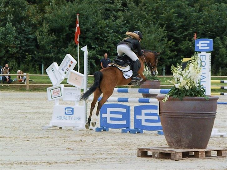 DM - Middelfart Ridecenter, Rosenkilde Gods billede 9