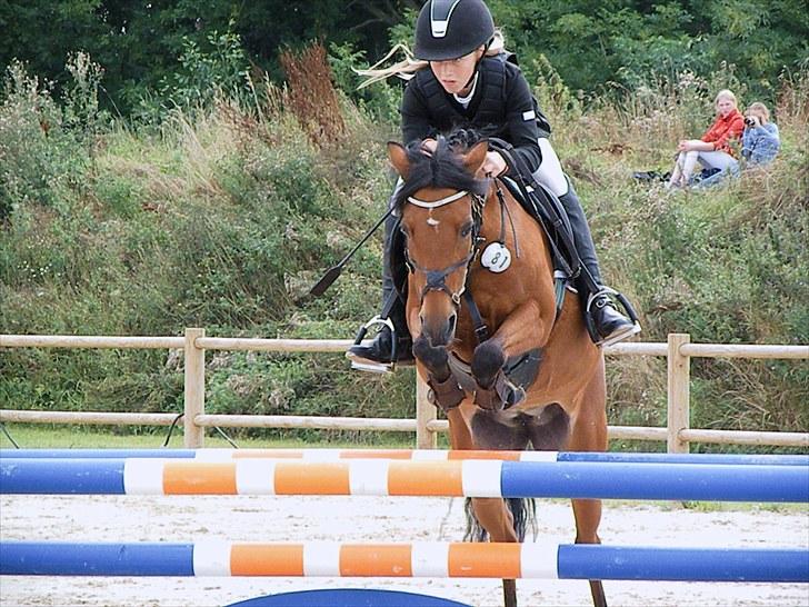 DM - Middelfart Ridecenter, Rosenkilde Gods billede 10