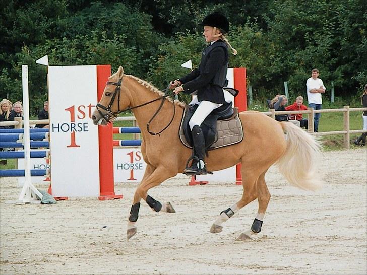 DM - Middelfart Ridecenter, Rosenkilde Gods billede 11