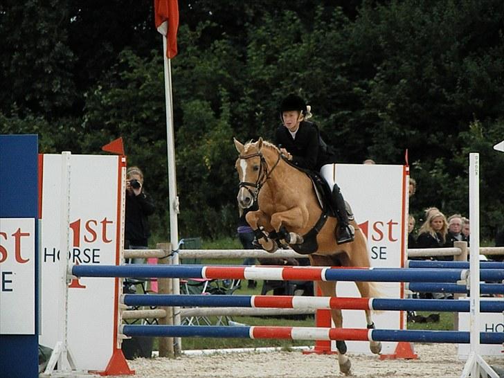 DM - Middelfart Ridecenter, Rosenkilde Gods billede 13