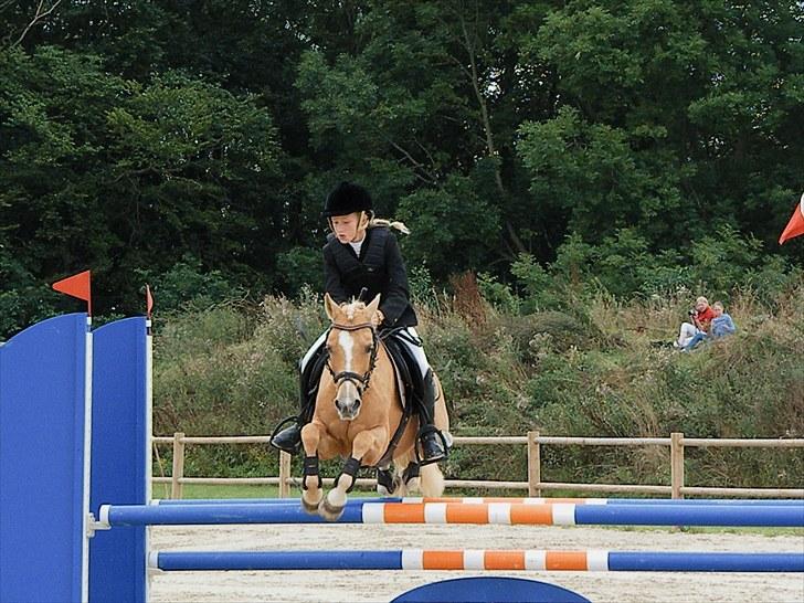 DM - Middelfart Ridecenter, Rosenkilde Gods billede 15