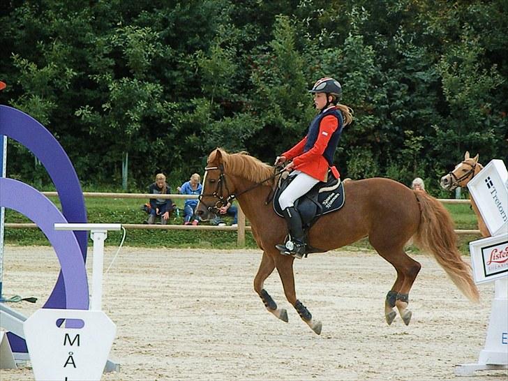 DM - Middelfart Ridecenter, Rosenkilde Gods billede 17