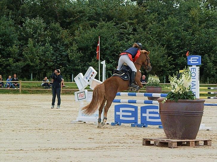 DM - Middelfart Ridecenter, Rosenkilde Gods billede 19