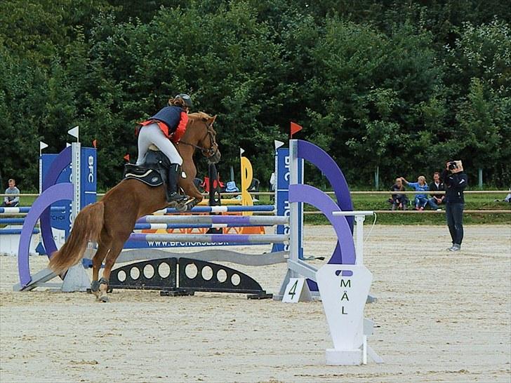 DM - Middelfart Ridecenter, Rosenkilde Gods billede 21