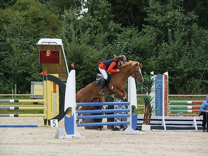 DM - Middelfart Ridecenter, Rosenkilde Gods billede 23