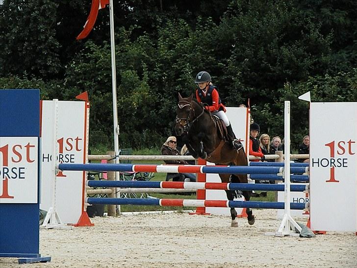 DM - Middelfart Ridecenter, Rosenkilde Gods billede 24