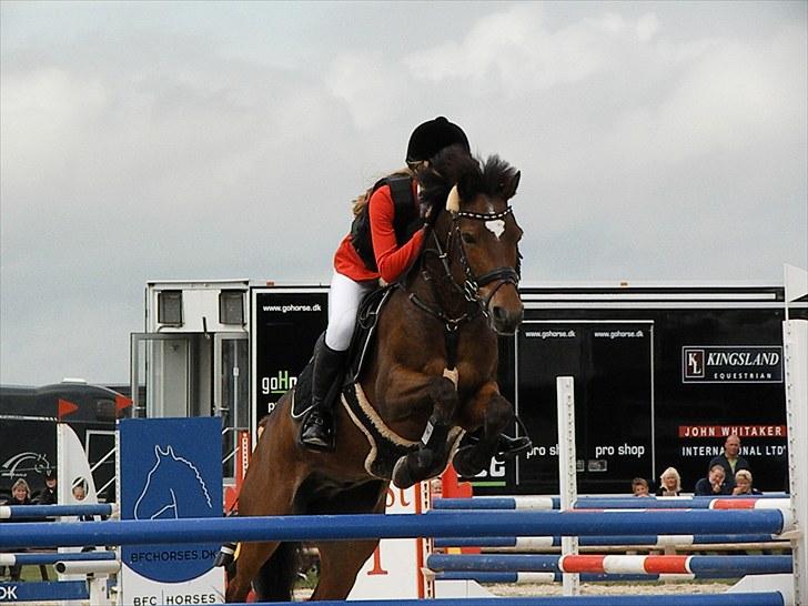 DM - Middelfart Ridecenter, Rosenkilde Gods billede 28