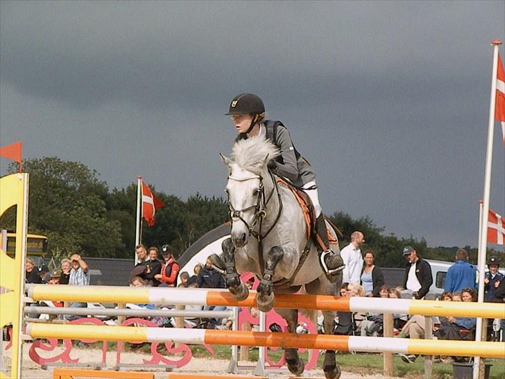 DM - Middelfart Ridecenter, Rosenkilde Gods billede 30