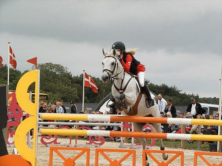 DM - Middelfart Ridecenter, Rosenkilde Gods billede 37