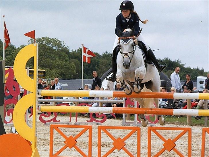 DM - Middelfart Ridecenter, Rosenkilde Gods billede 42