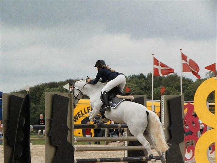 DM - Middelfart Ridecenter, Rosenkilde Gods billede 43