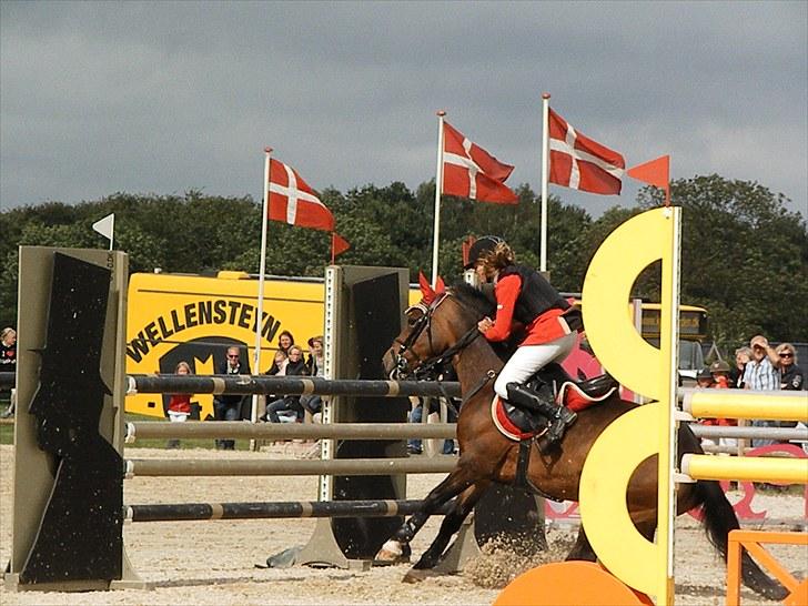 DM - Middelfart Ridecenter, Rosenkilde Gods billede 44