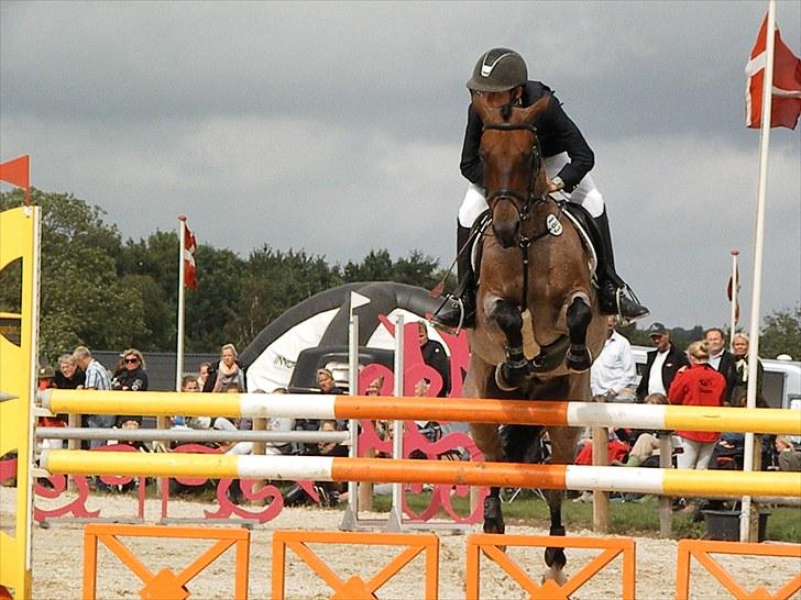 DM - Middelfart Ridecenter, Rosenkilde Gods billede 46