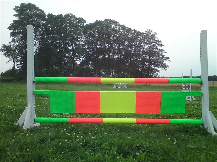 Vores superlækker springbane - Neon-spring billede 1