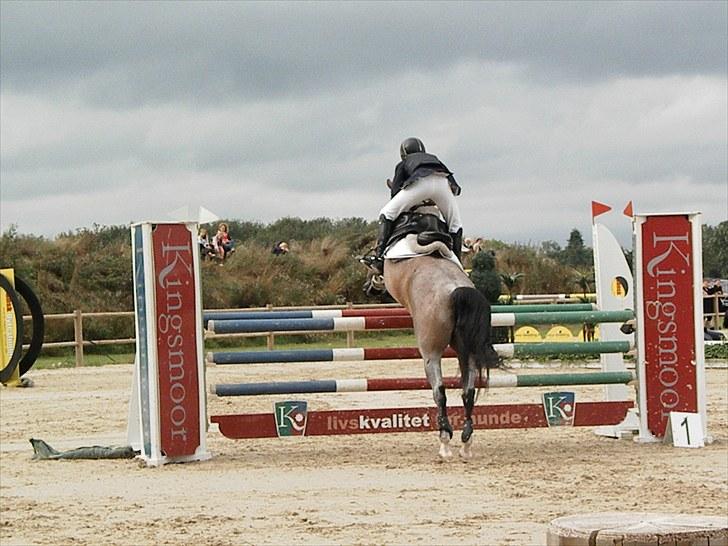 DM - Middelfart Ridecenter, Rosenkilde Gods billede 48