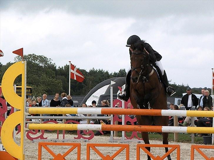 DM - Middelfart Ridecenter, Rosenkilde Gods billede 53