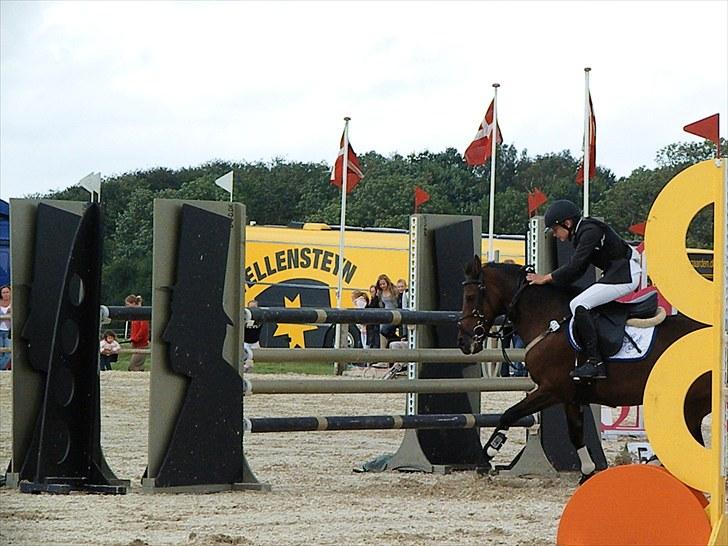 DM - Middelfart Ridecenter, Rosenkilde Gods billede 54