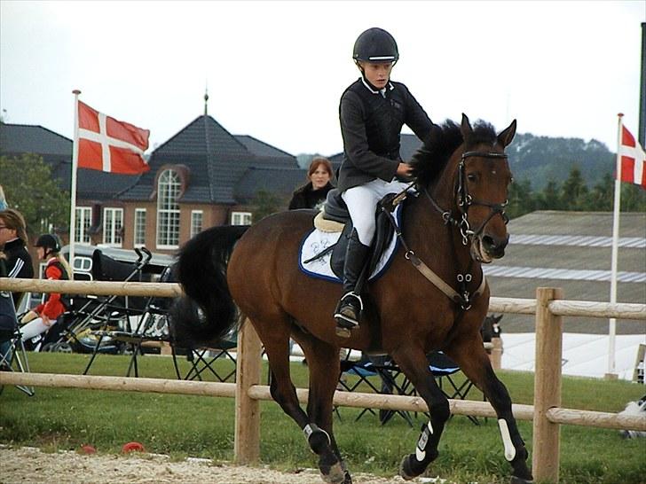 DM - Middelfart Ridecenter, Rosenkilde Gods billede 56