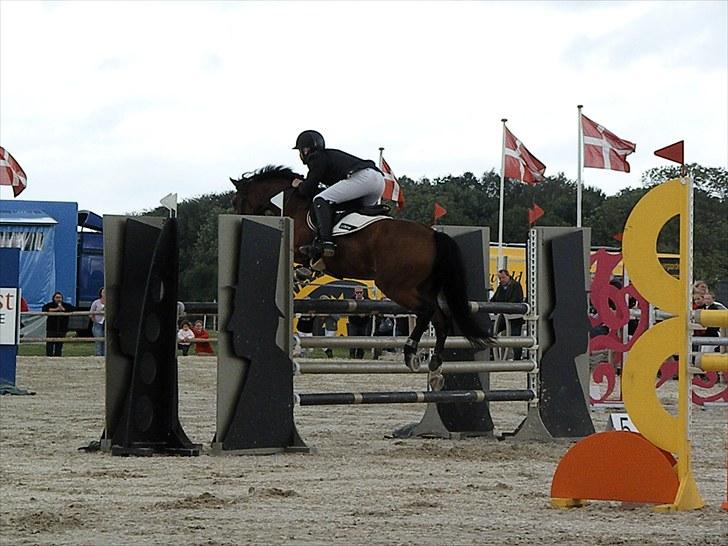 DM - Middelfart Ridecenter, Rosenkilde Gods billede 58