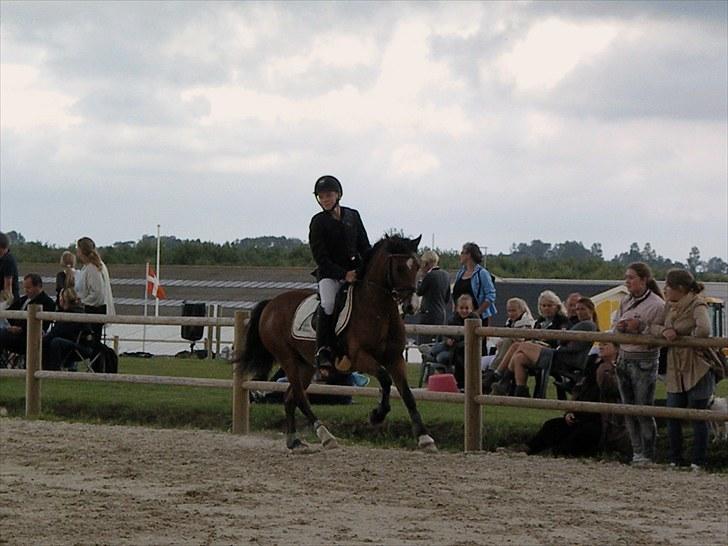 DM - Middelfart Ridecenter, Rosenkilde Gods billede 59