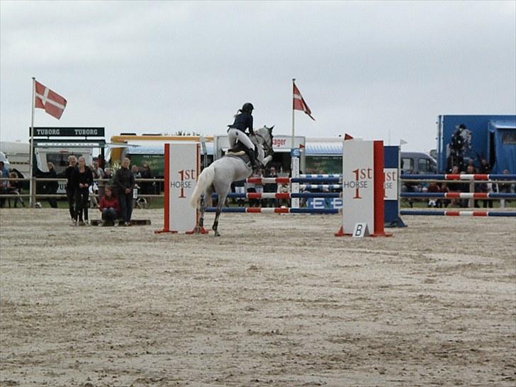 DM - Middelfart Ridecenter, Rosenkilde Gods billede 66