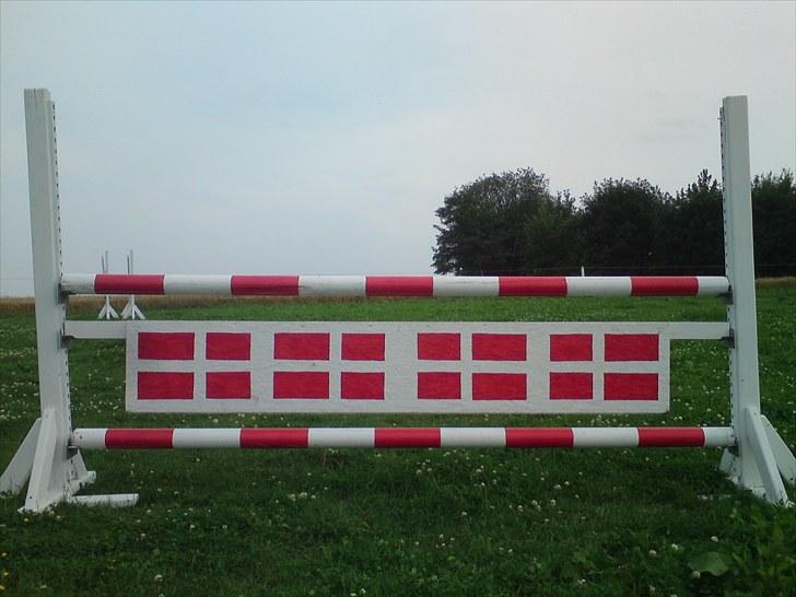 Vores superlækker springbane - Danmarks-spring billede 6