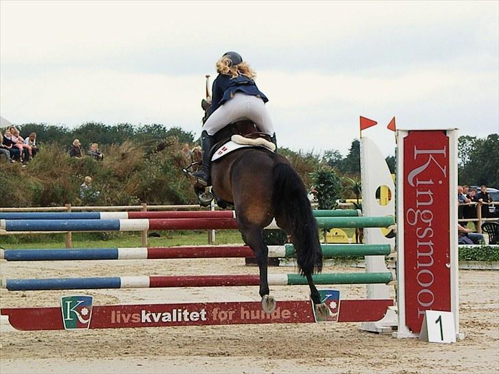 DM - Middelfart Ridecenter, Rosenkilde Gods billede 71