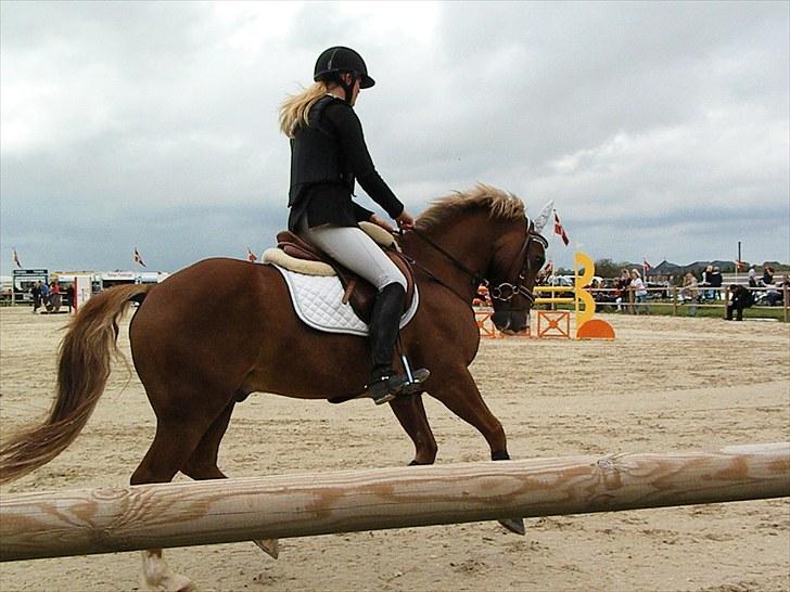 DM - Middelfart Ridecenter, Rosenkilde Gods billede 72