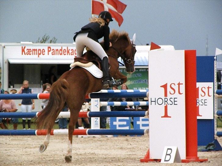 DM - Middelfart Ridecenter, Rosenkilde Gods billede 74