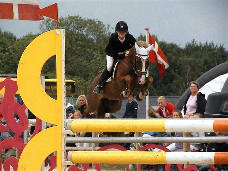 DM - Middelfart Ridecenter, Rosenkilde Gods billede 75