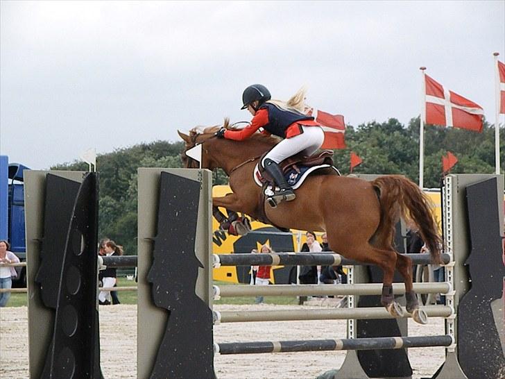 DM - Middelfart Ridecenter, Rosenkilde Gods billede 82