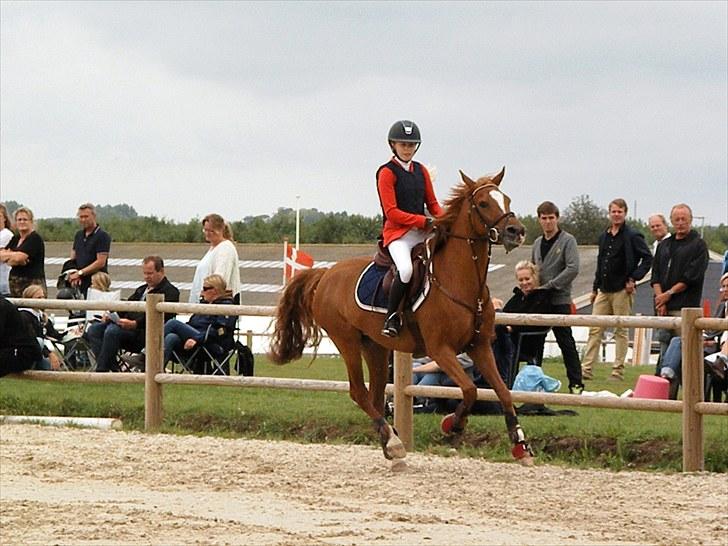 DM - Middelfart Ridecenter, Rosenkilde Gods billede 86