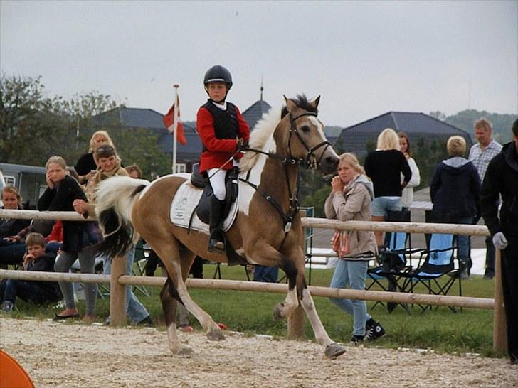 DM - Middelfart Ridecenter, Rosenkilde Gods billede 88