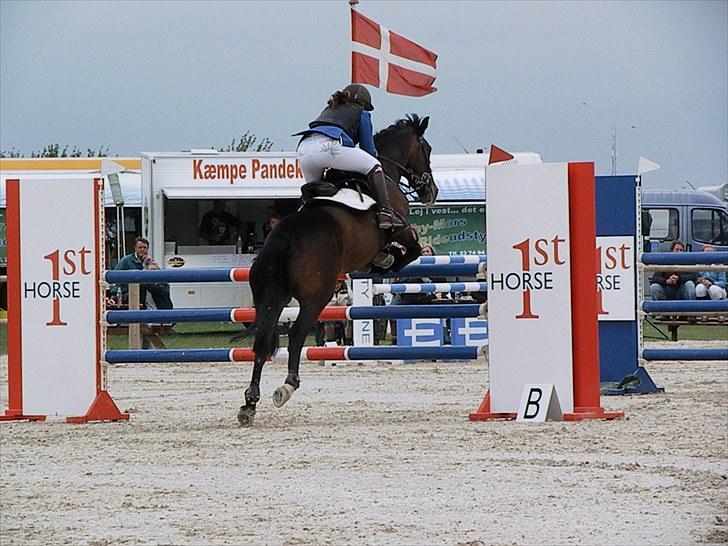 DM - Middelfart Ridecenter, Rosenkilde Gods billede 90