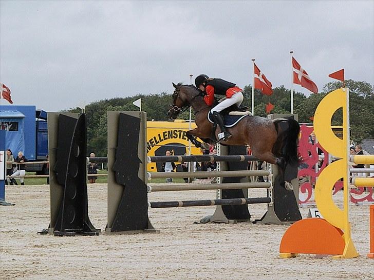 DM - Middelfart Ridecenter, Rosenkilde Gods billede 92