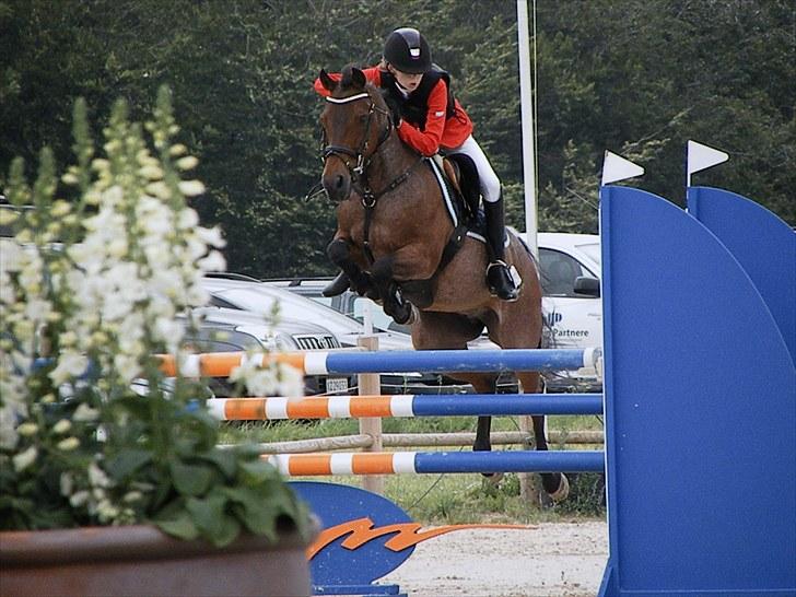 DM - Middelfart Ridecenter, Rosenkilde Gods billede 93