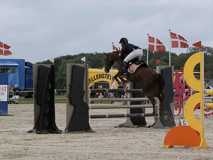 DM - Middelfart Ridecenter, Rosenkilde Gods billede 94