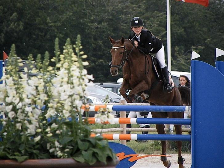 DM - Middelfart Ridecenter, Rosenkilde Gods billede 96