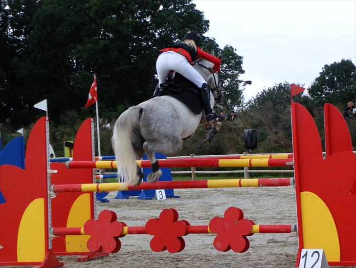 DM - Middelfart Ridecenter, Rosenkilde Gods billede 98