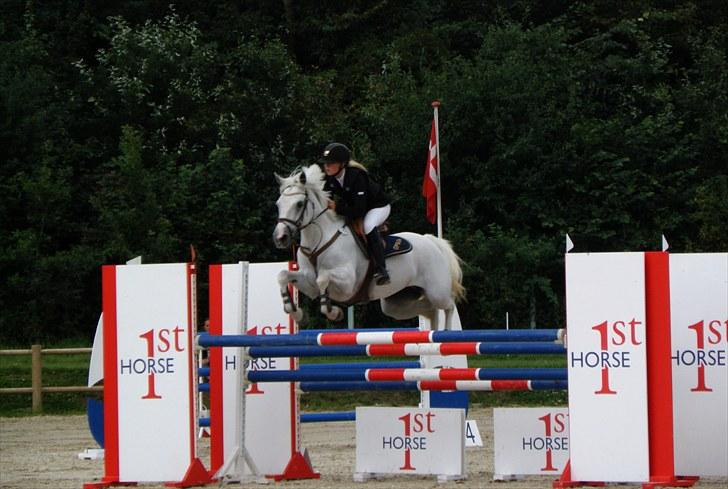 DM - Middelfart Ridecenter, Rosenkilde Gods billede 103