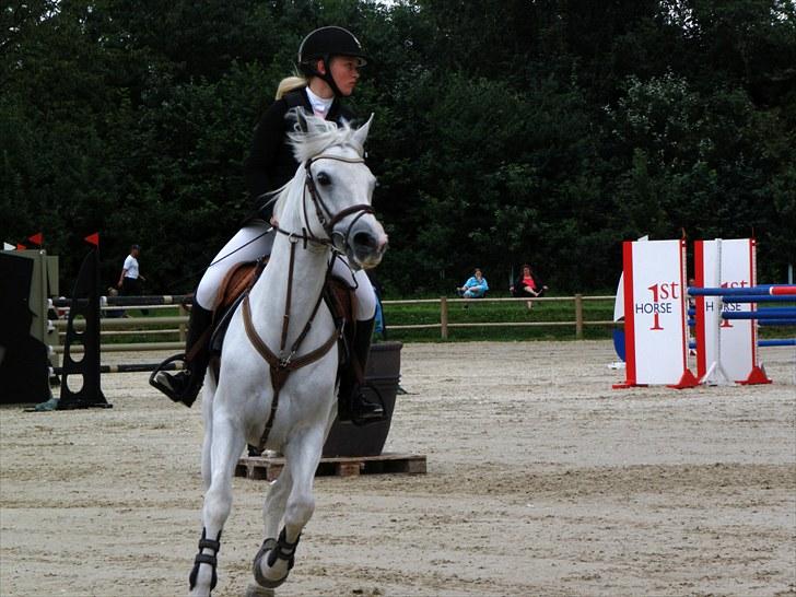 DM - Middelfart Ridecenter, Rosenkilde Gods billede 104