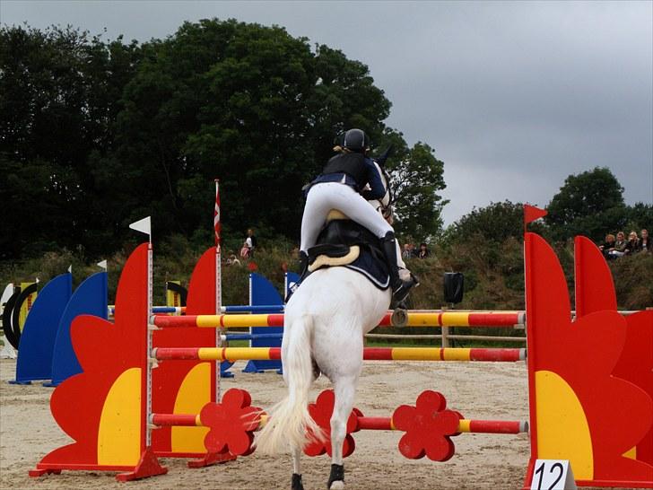 DM - Middelfart Ridecenter, Rosenkilde Gods billede 105