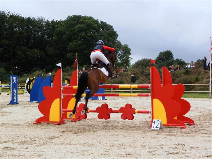 DM - Middelfart Ridecenter, Rosenkilde Gods billede 106