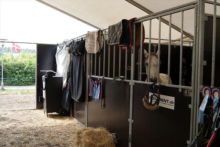 Copenhagen 2010  billede 5