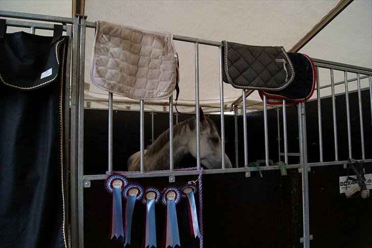 Copenhagen 2010  billede 6