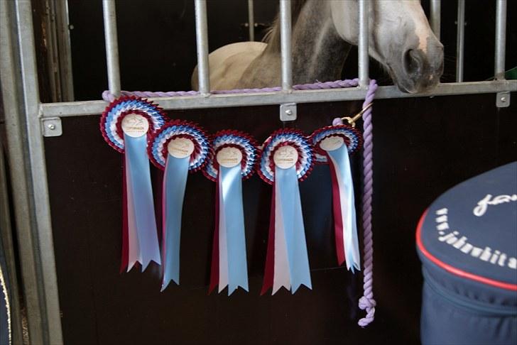 Copenhagen 2010  billede 7