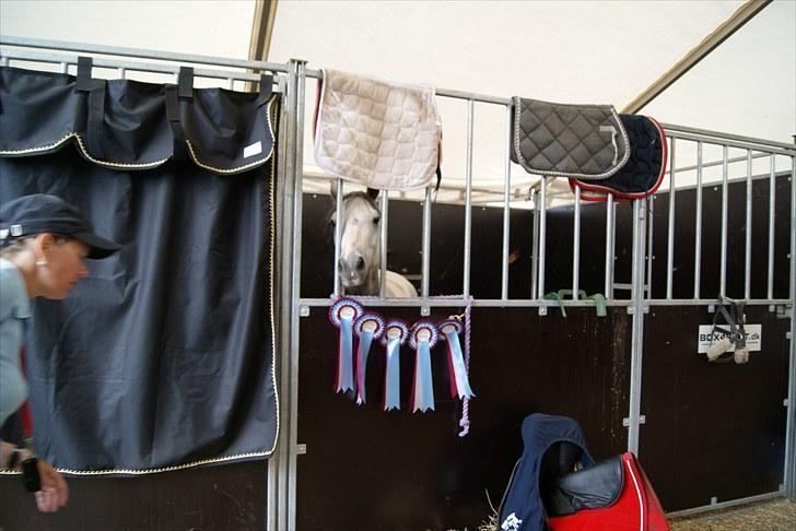 Copenhagen 2010  billede 8