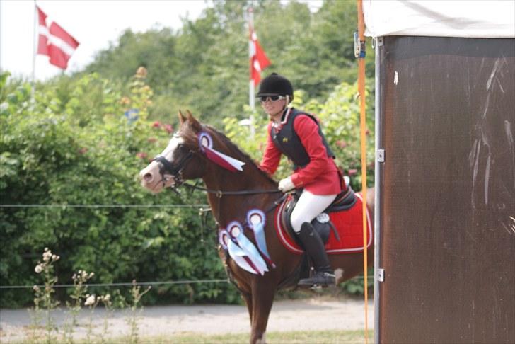 Copenhagen 2010  billede 3